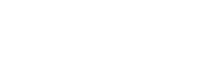 파인슐레